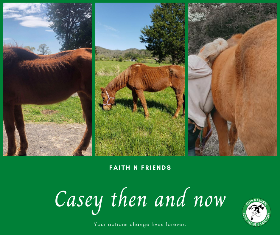 Casey - Then and Now!