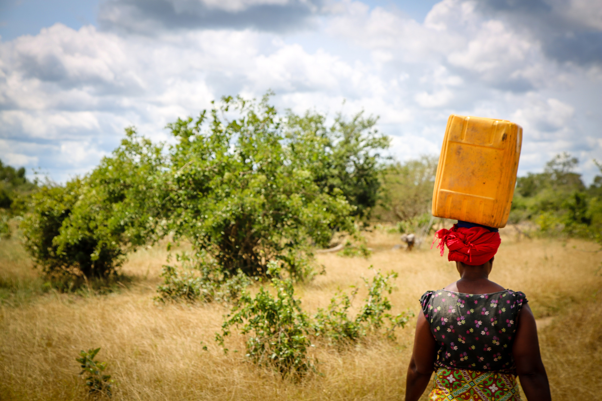A woman in Kenya travels to get safe water--a commodity all the more vital in the work of COVID-19 prevention in Kenya.