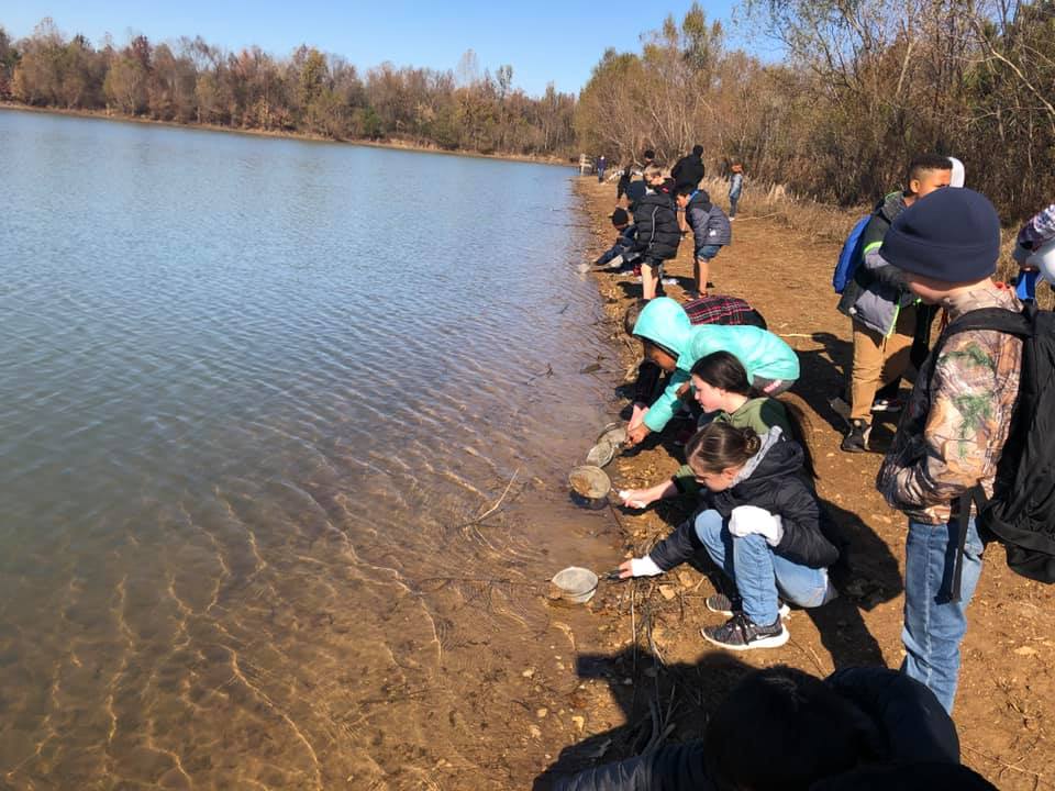 Students hunt for aquatic creatures in the mud along the edge of a pond at Harvest Square Nature Preserve.