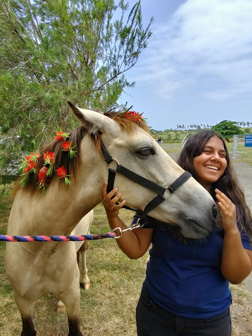 Boo gets love and attention from one his favorite people at Horses of Hope