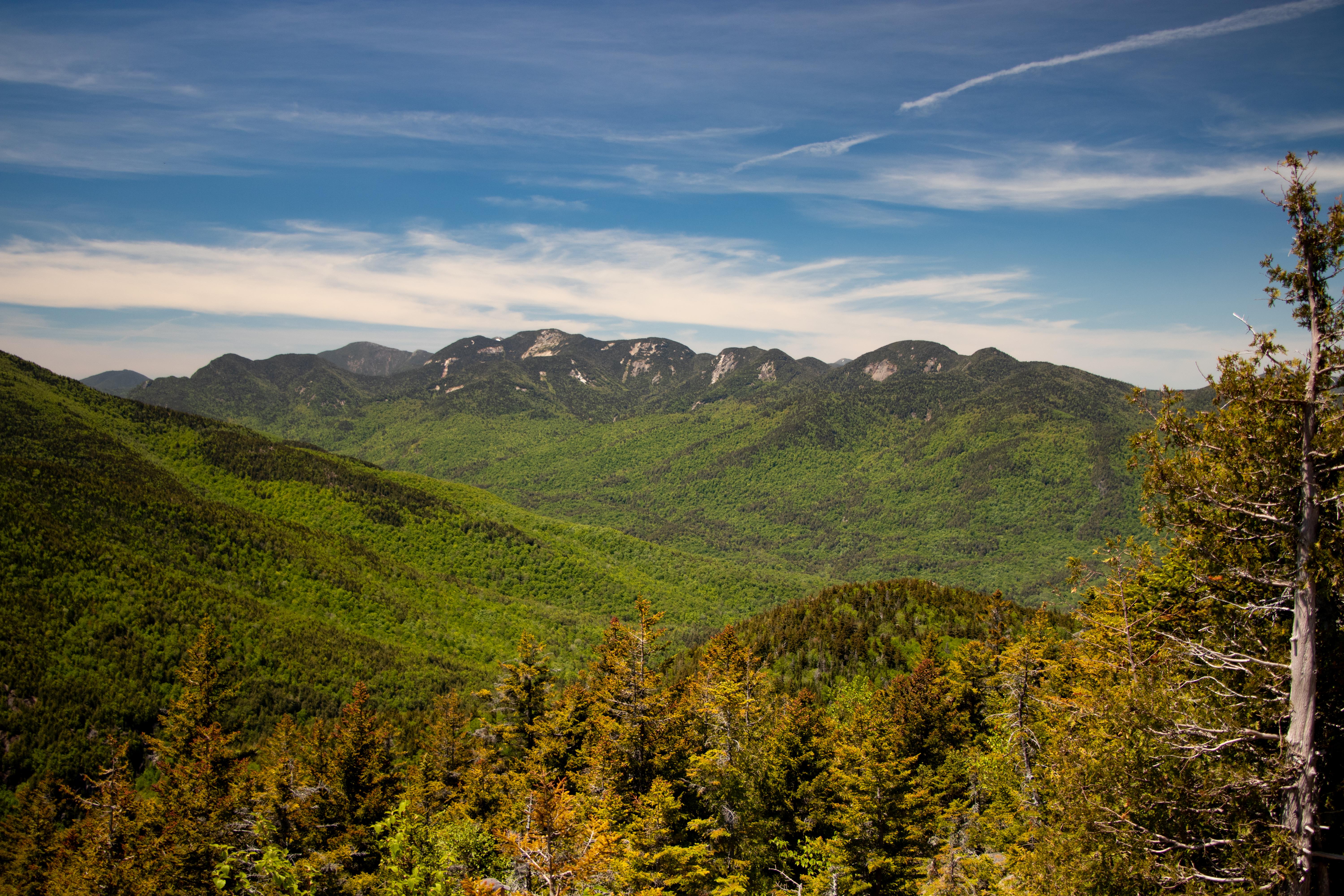 In the face of climate change, protecting the vast forests of the Adirondacks provides carbon sequestration and protected habitat for an array of species