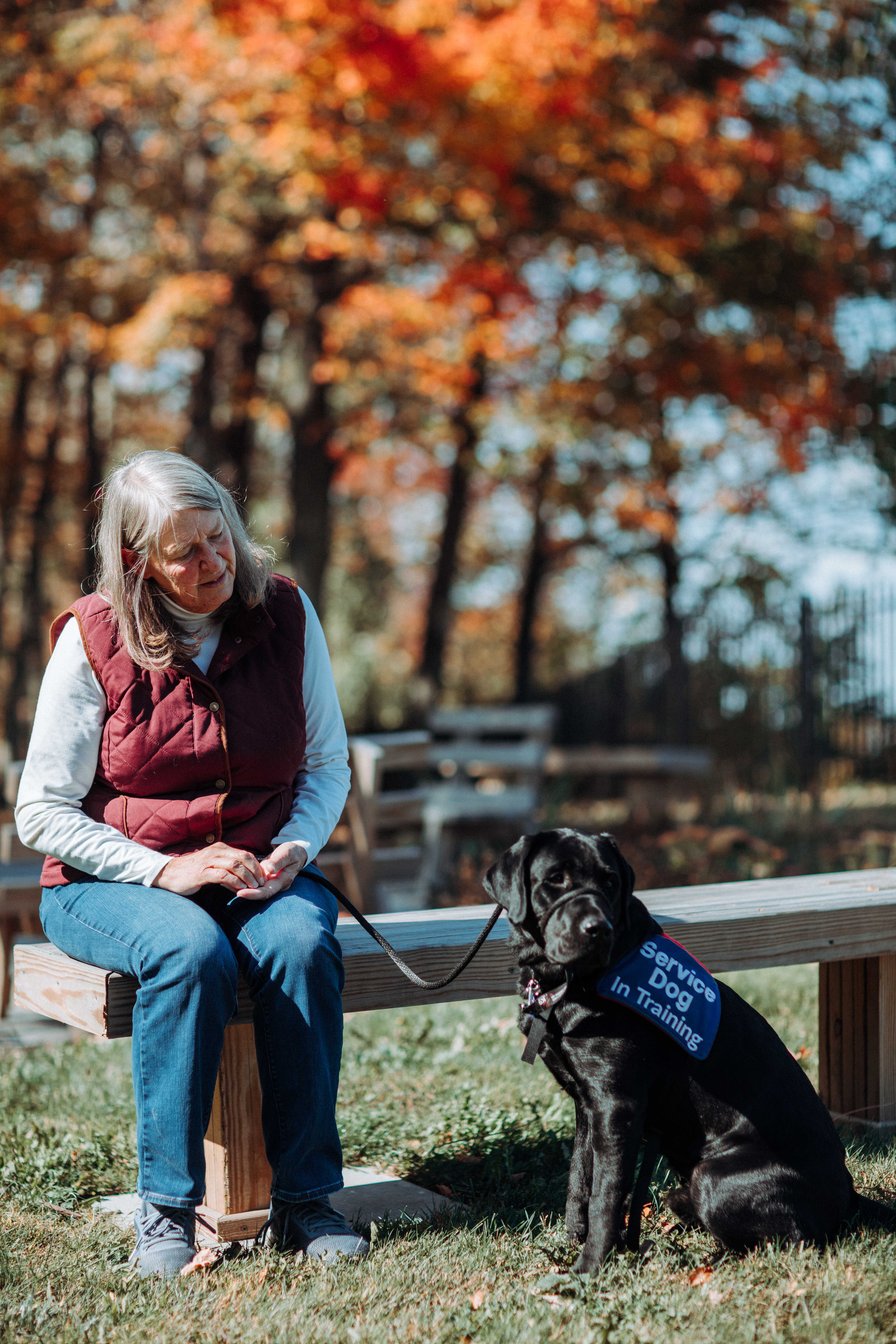 Clear Path's pilot program the Canine Program trains service dogs for Veterans with service connected PTSD, TBI, or MST.