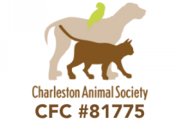 YOU are Charleston Animal Society
