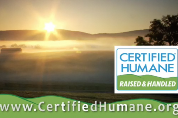 Certified Humane Video