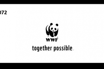 WWF together possible