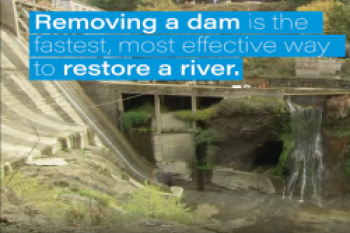 Why Remove Dams?