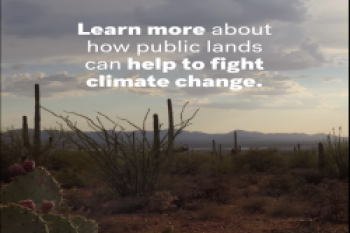 Public Lands can Help Fight the Climate Crisis