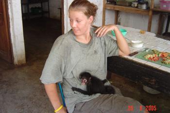 A volunteer feeding a baby spider monkey at ARCAS's Wildlife Rescue Center in the Maya Biosphere Reserve, Peten, Guatemala