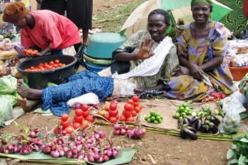 WMI Borrowers Selling Their Produce in the Market